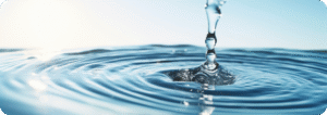 Banner 1